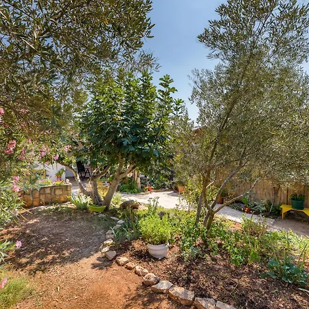Apartment Casa De Flores, Ace Location - 100m From Bodinka , Free Parking, Nature's Heaven *