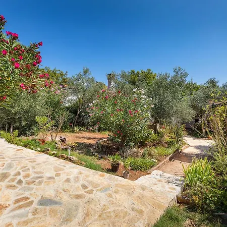 Apartment Casa De Flores, Ace Location - 100m From Bodinka , Free Parking, Nature's Heaven *